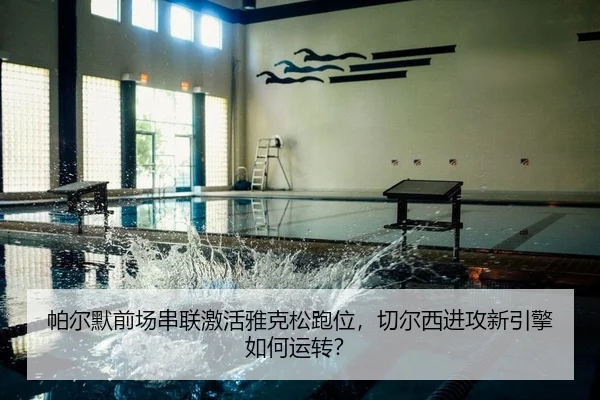 pa-er-mo-qian-chang-chuan-lian-ji-huo-ya-ke-song-pao-wei-qie-er-xi-jin-gong-xin-yin-qing-ru-he-yun-zhuan-2-971.jpg